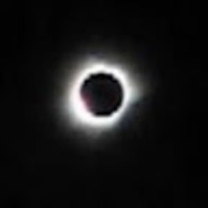 Meet your Posher, Garrett